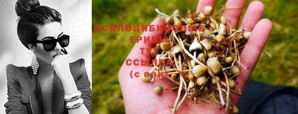2c-b Алексин