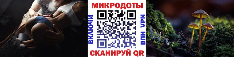 Псилоцибиновые грибы MAGIC MUSHROOMS Кулебаки